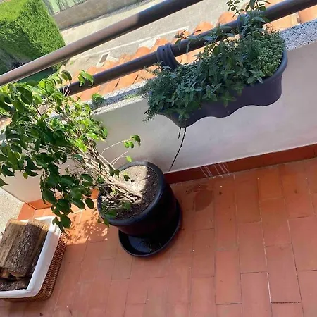 Aire Apartment